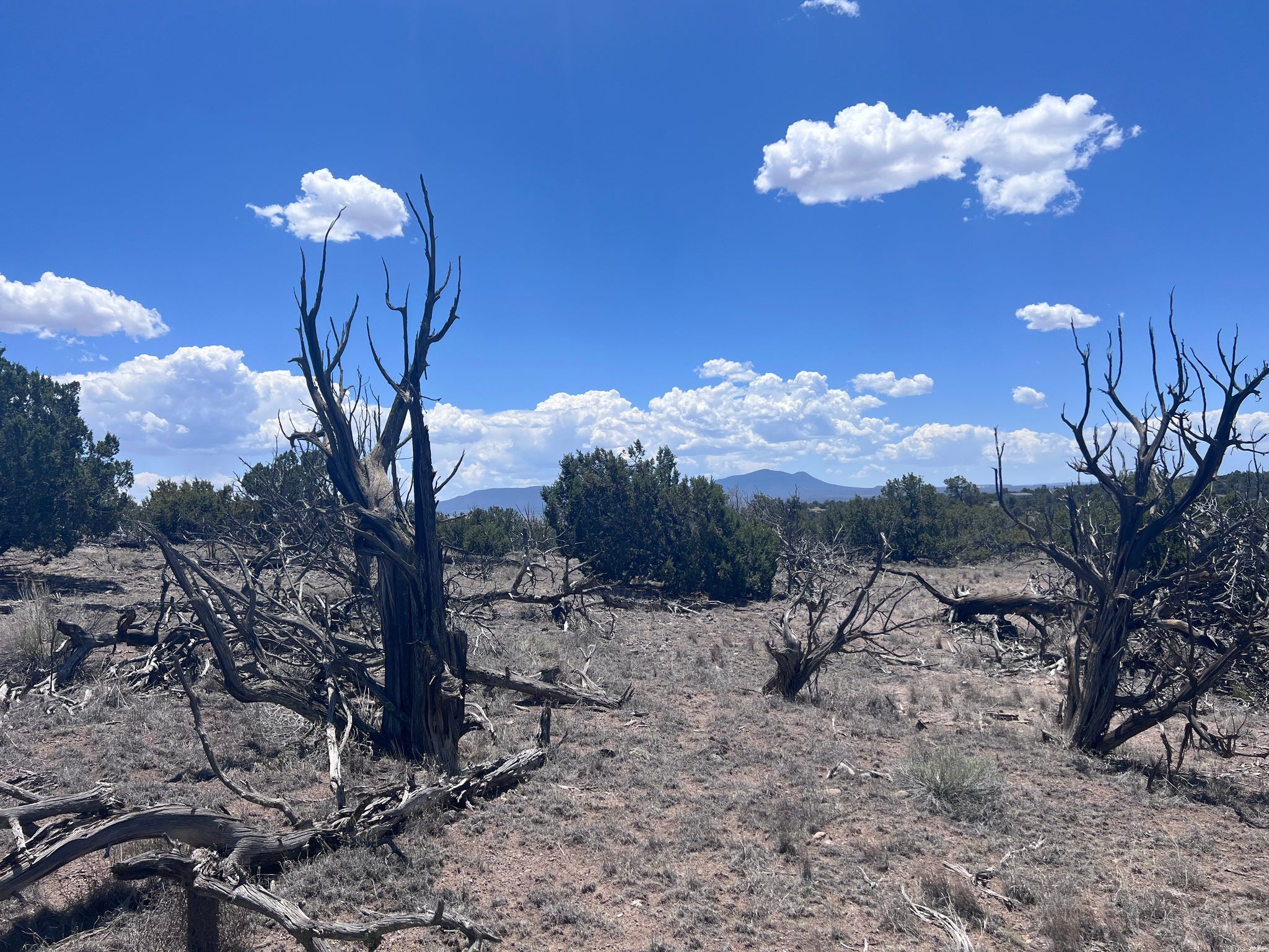 0 Omega Road, Unit 24 Quemado, NM 87829 - Photo 18 of 23 Gallery Image 18