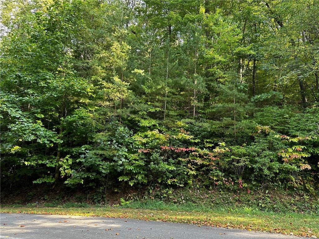 66 St. Andrews Way Jasper, GA 30143 - Photo 14 of 35