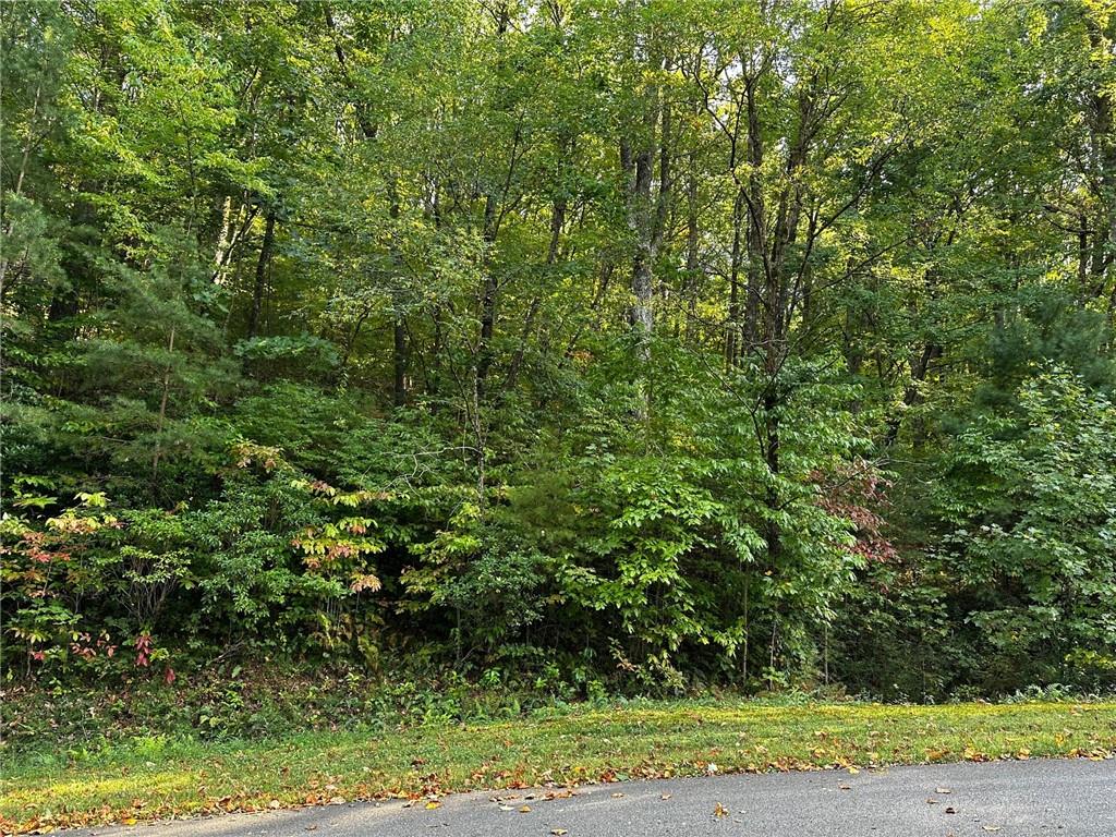 66 St. Andrews Way Jasper, GA 30143 - Photo 16 of 35