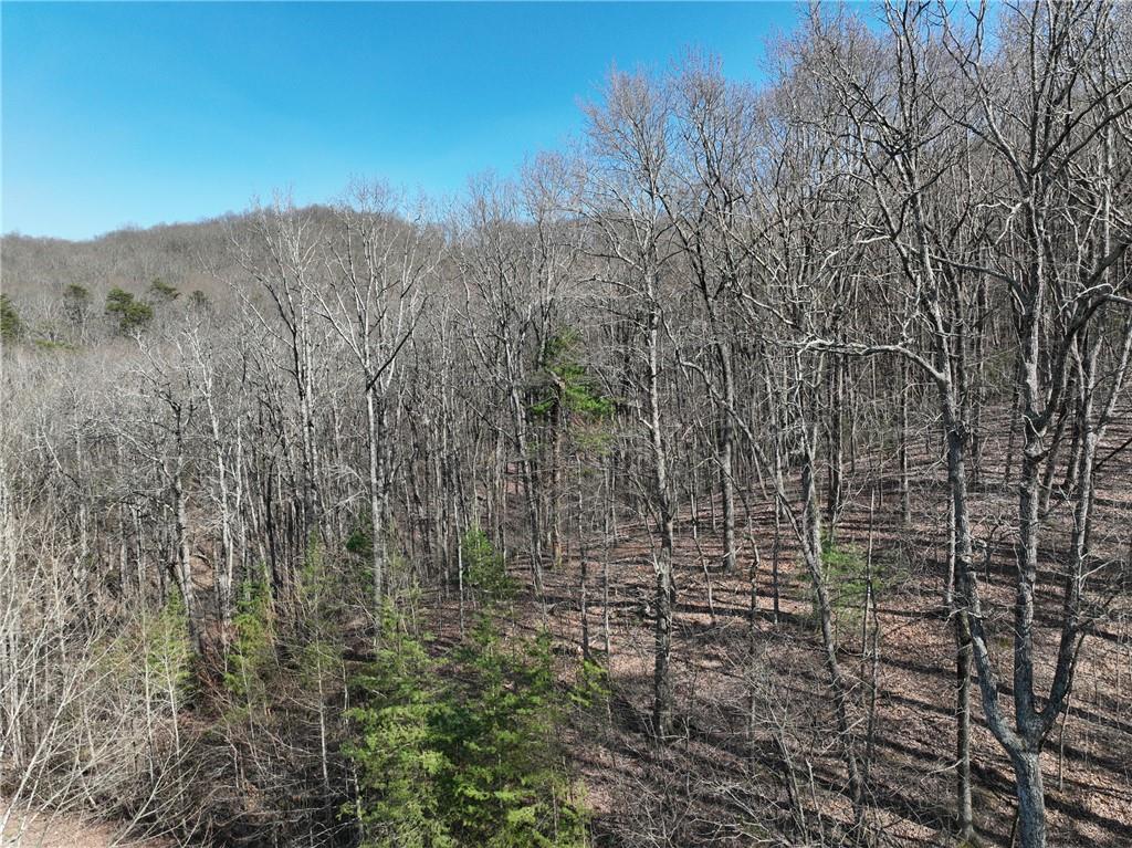 66 St. Andrews Way Jasper, GA 30143 - Photo 24 of 35