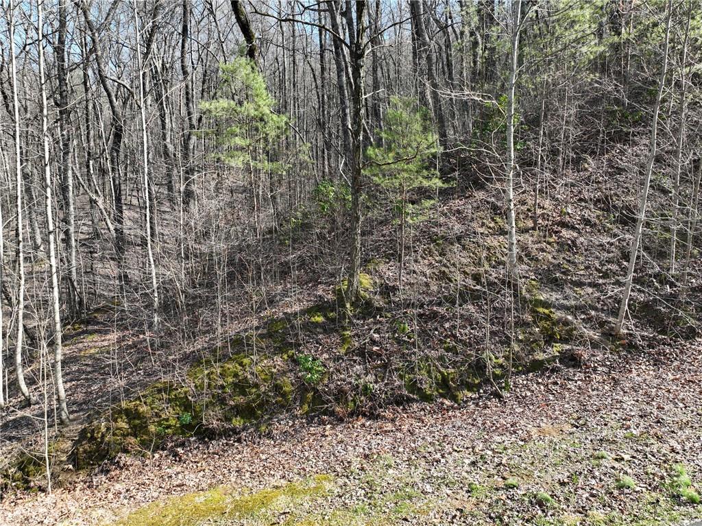 66 St. Andrews Way Jasper, GA 30143 - Photo 29 of 35