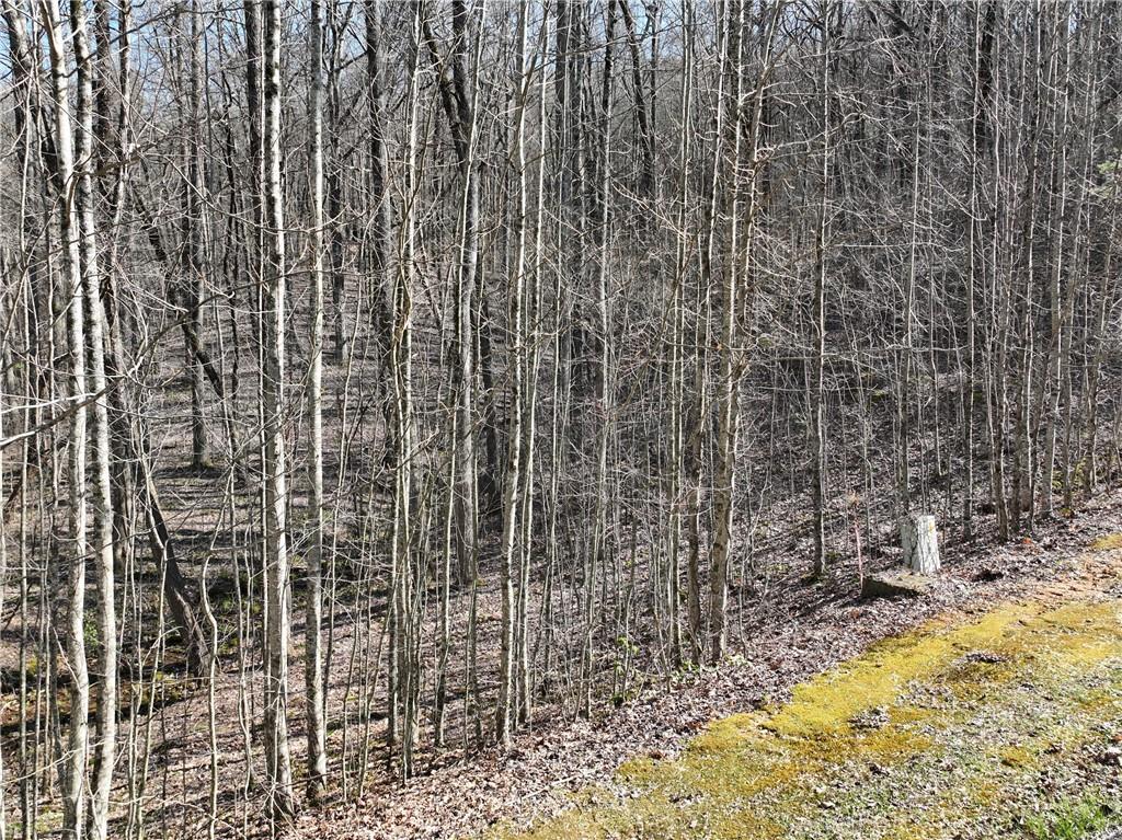 66 St. Andrews Way Jasper, GA 30143 - Photo 30 of 35