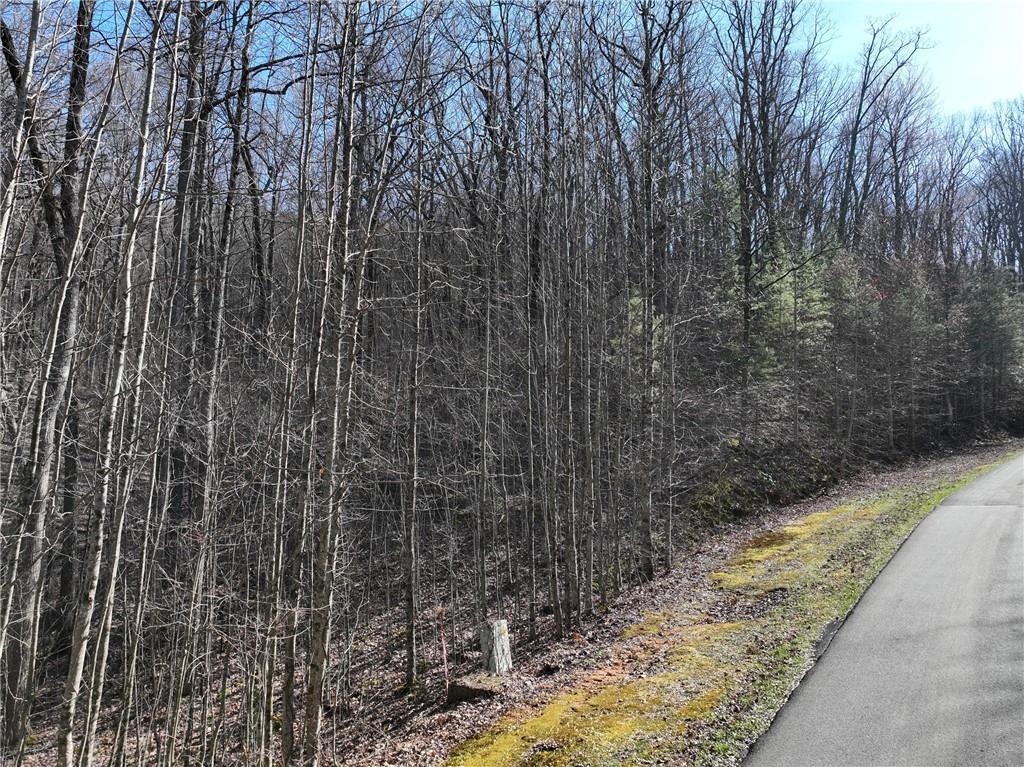 66 St. Andrews Way Jasper, GA 30143 - Photo 31 of 35