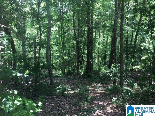 5001 Greathouse Road, Unit 1 Dora, AL 35062 - Photo 2 of 6