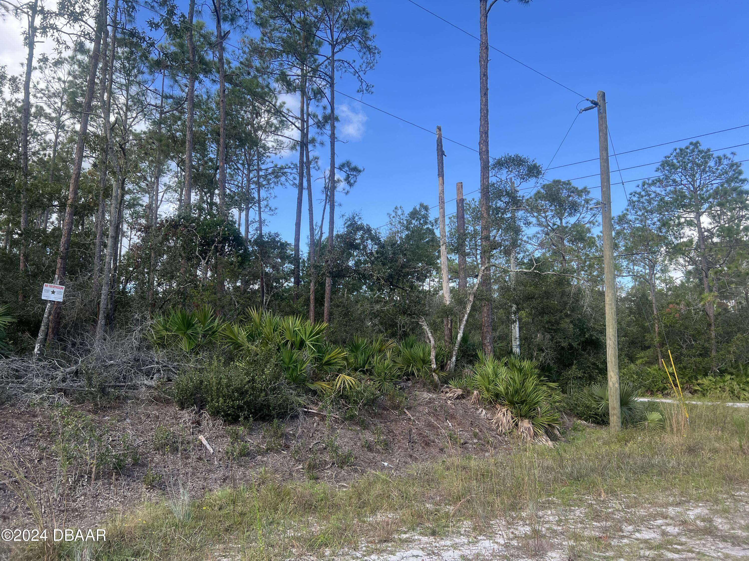 194 Whispering Pines Road Georgetown, FL 32139 - Photo 3 of 6 IMG_1022