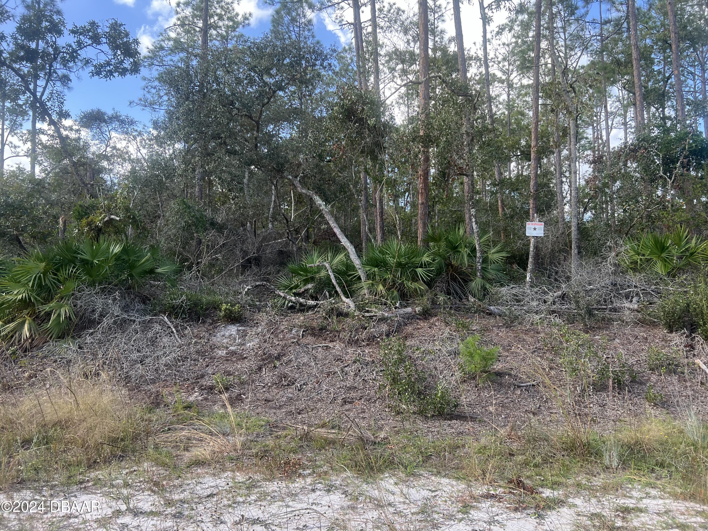 194 Whispering Pines Road Georgetown, FL 32139 - Photo 4 of 6 IMG_1021
