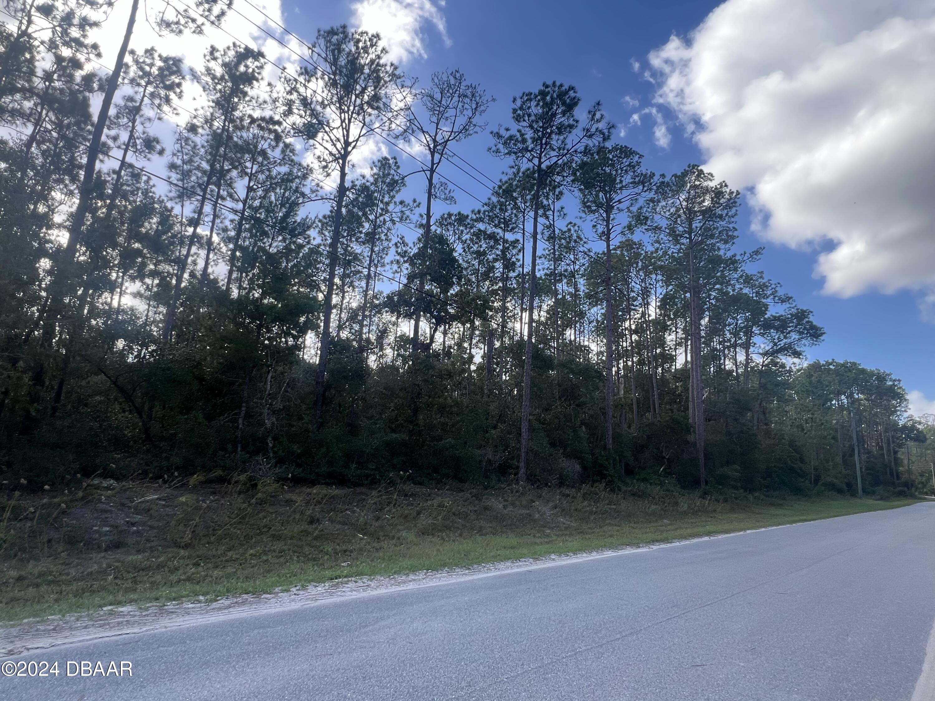 194 Whispering Pines Road Georgetown, FL 32139 - Photo 6 of 6 IMG_1012