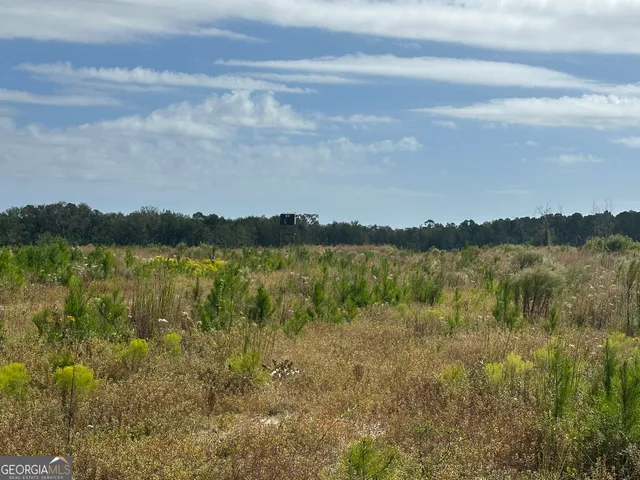 $1,877,400 | 0 Runs Branch Road, Newington, GA 30446