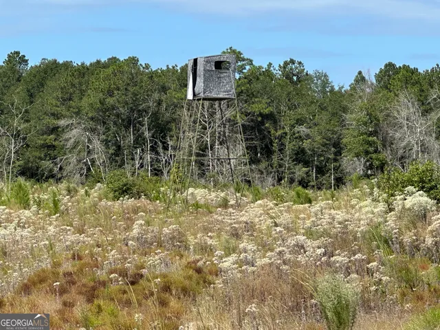 $1,877,400 | 0 Runs Branch Road, Newington, GA 30446