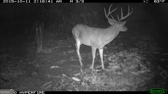 $1,877,400 | 0 Runs Branch Road, Newington, GA 30446