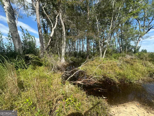 $1,877,400 | 0 Runs Branch Road, Newington, GA 30446