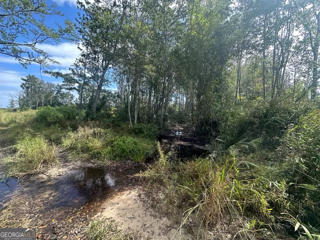 $1,877,400 | 0 Runs Branch Road, Newington, GA 30446