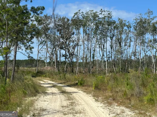 $1,877,400 | 0 Runs Branch Road, Newington, GA 30446