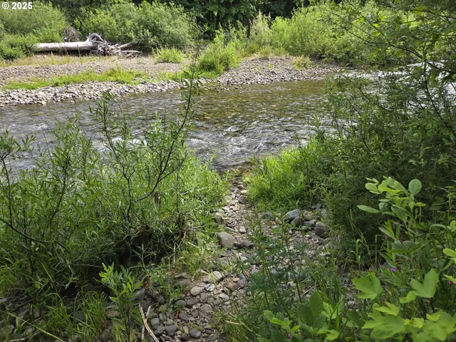 a view of a lake with a park