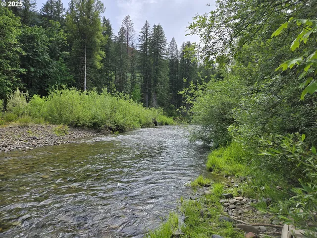 a big yard with lots of green space and deers