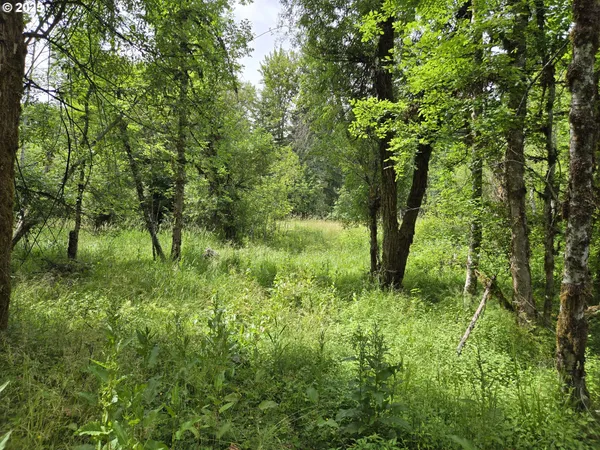 $449,950 | 161 Cannavinna Road, Unit 4, Carson, WA 98610