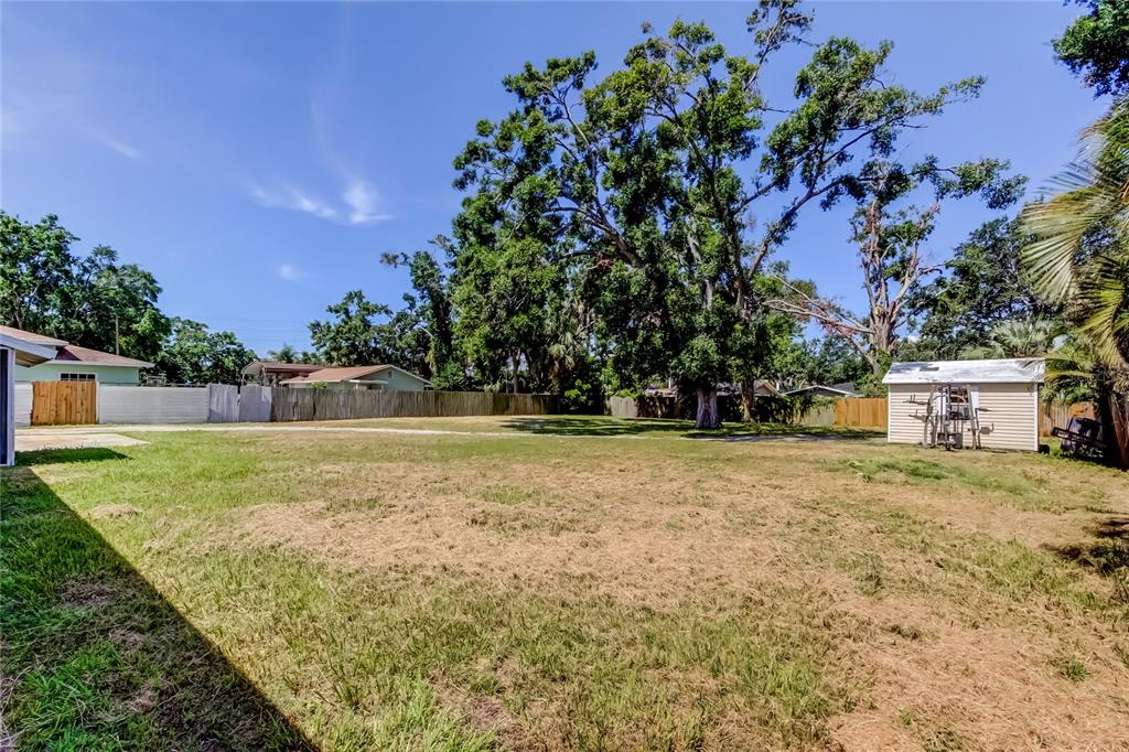 4412 Carlyle Road Tampa, FL 33615 - Photo 39 of 49 Backyard