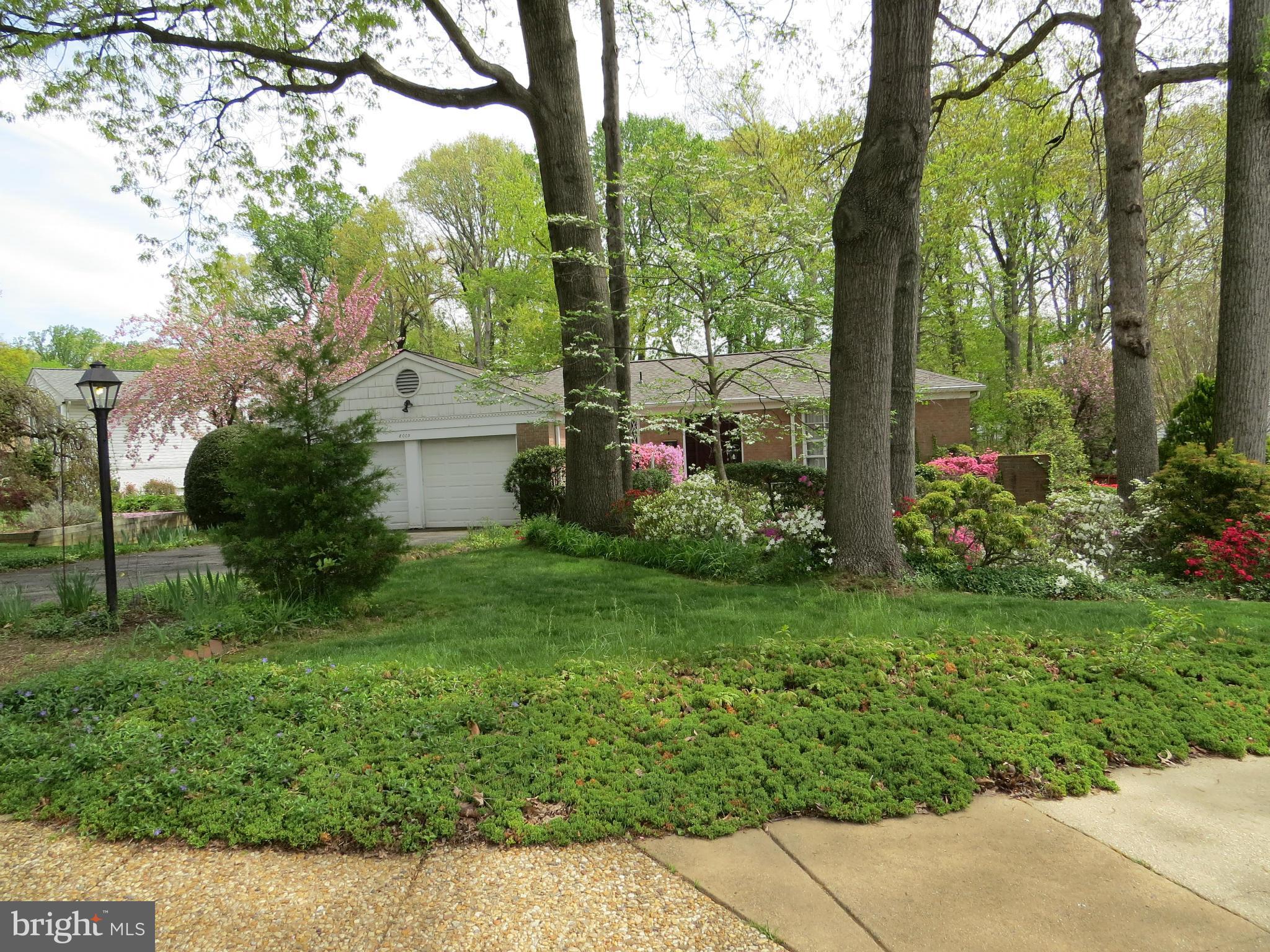8009 Langbrook Road Springfield, VA 22152 - Photo 7 of 28 Exterior (Front)