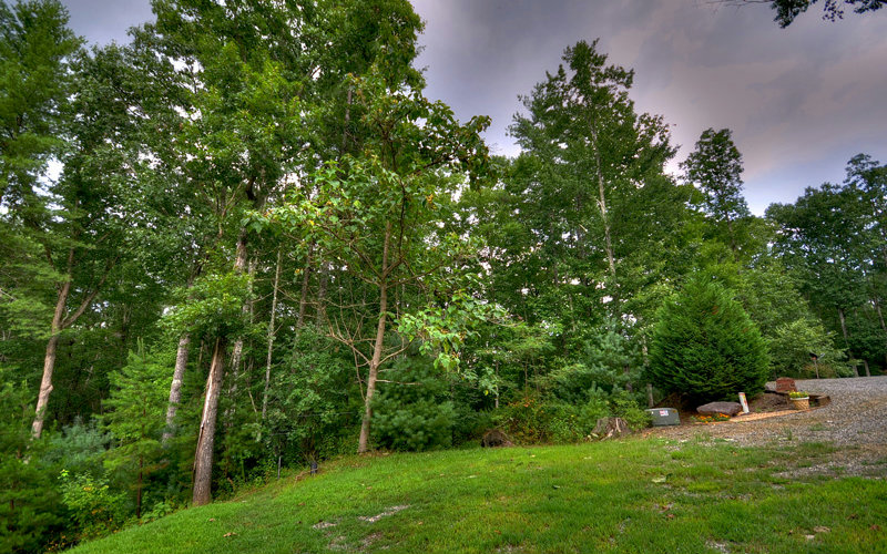 Lot 8 Racoon Ridge Cherry Log, GA 30522 - Photo 1 of 1 Main View