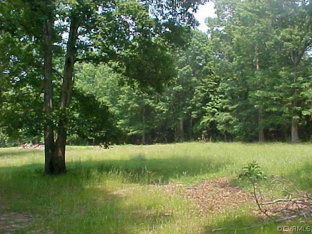 1130 Dispatch Road Quinton, VA 23141 - Photo 2 of 5 a view of green field with trees in the background