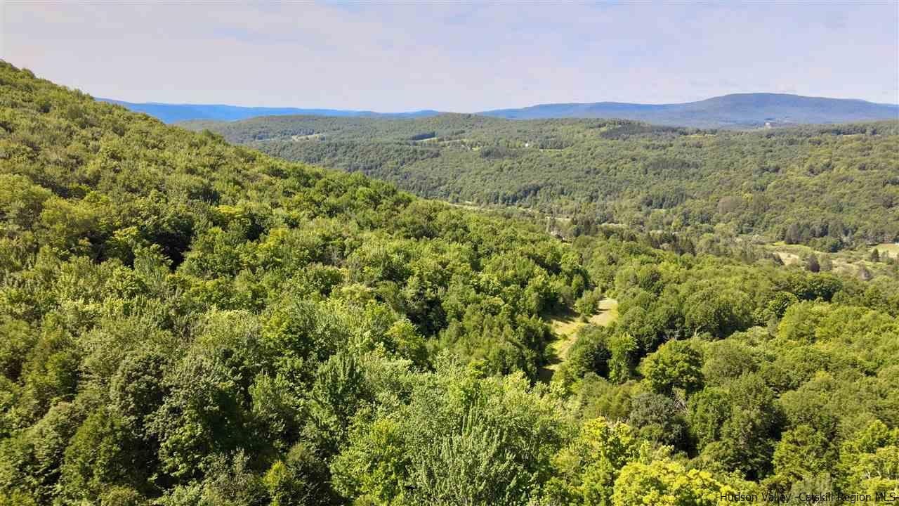 John B Hewitt Spur Denver, NY 12421 - Photo 2 of 8 a view of a lush green field with mountains in the background
