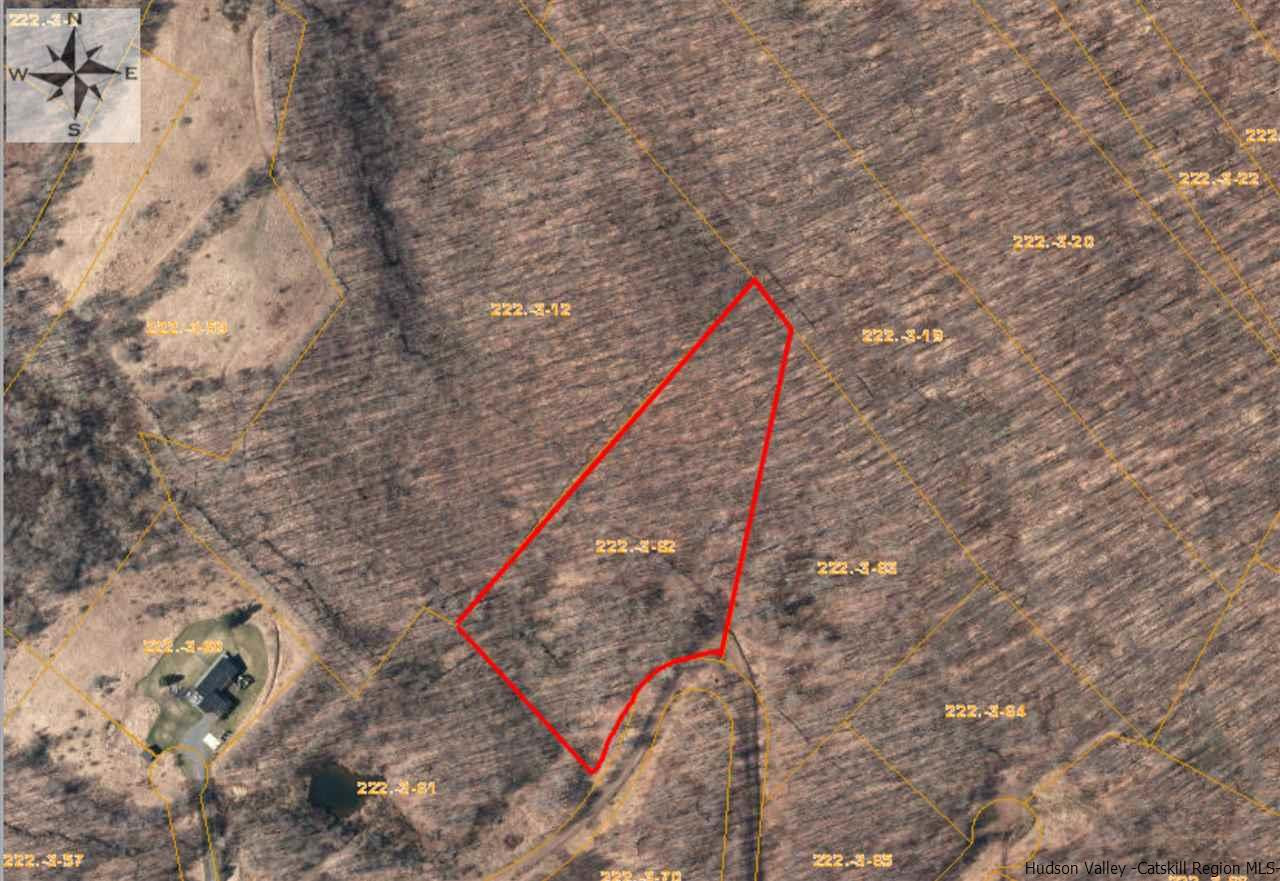 John B Hewitt Spur Denver, NY 12421 - Photo 3 of 8 a close up of a plant