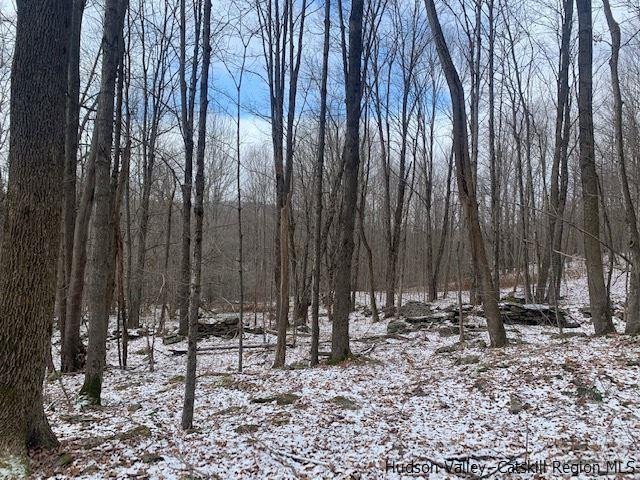 John B Hewitt Spur Denver, NY 12421 - Photo 5 of 8 a view of outdoor space with chairs