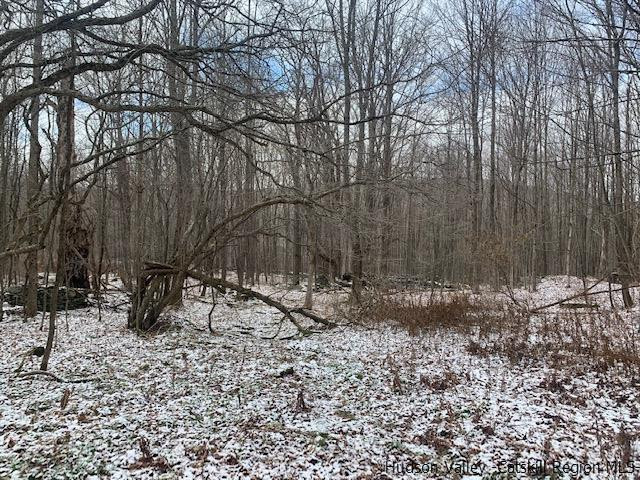 John B Hewitt Spur Denver, NY 12421 - Photo 6 of 8 a backyard of a house with lots of green space