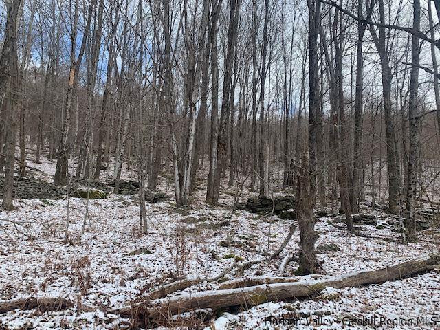 John B Hewitt Spur Denver, NY 12421 - Photo 7 of 8 a view of a tree with a yard