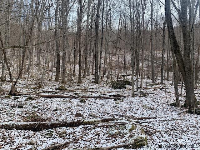 John B Hewitt Spur Denver, NY 12421 - Photo 8 of 8 a view of a backyard with trees