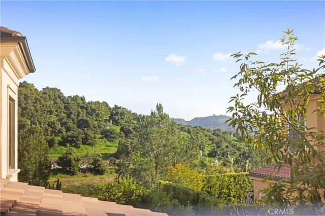 a view of a bunch of trees and bushes