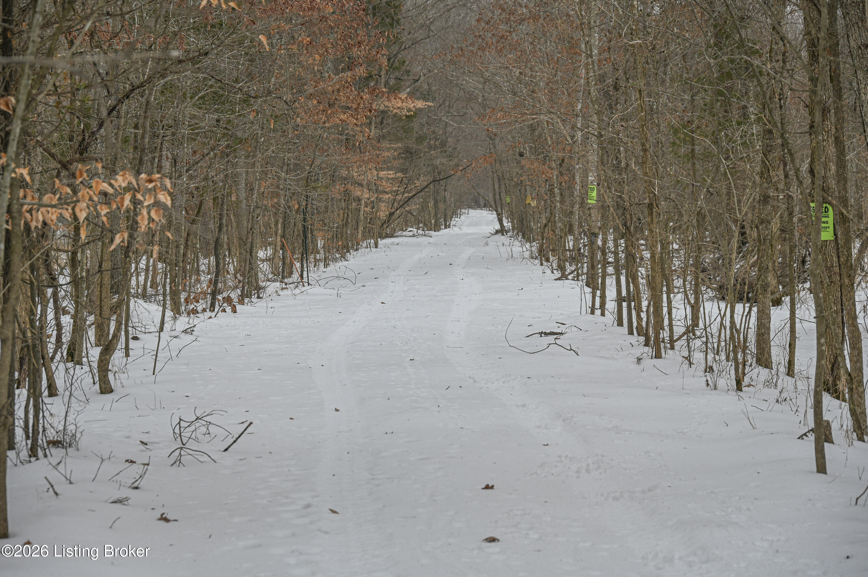 0 Stewart Road Lebanon Junction, KY 40150 - Photo 52 of 106 30-DSC_1520