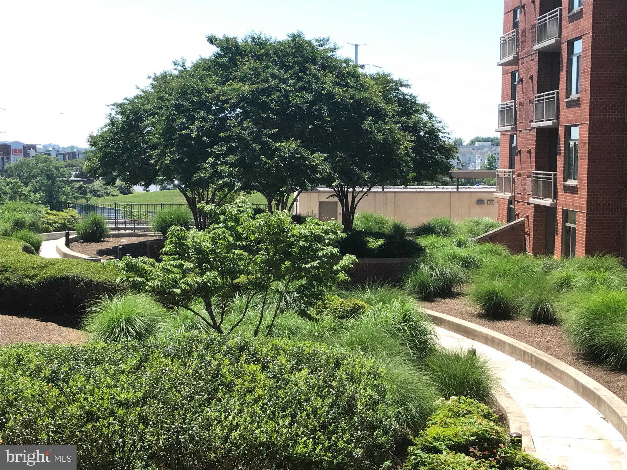 3600 South Glebe Road, Unit 330W Arlington, VA 22202 - Photo 15 of 20 a view of a garden with a building