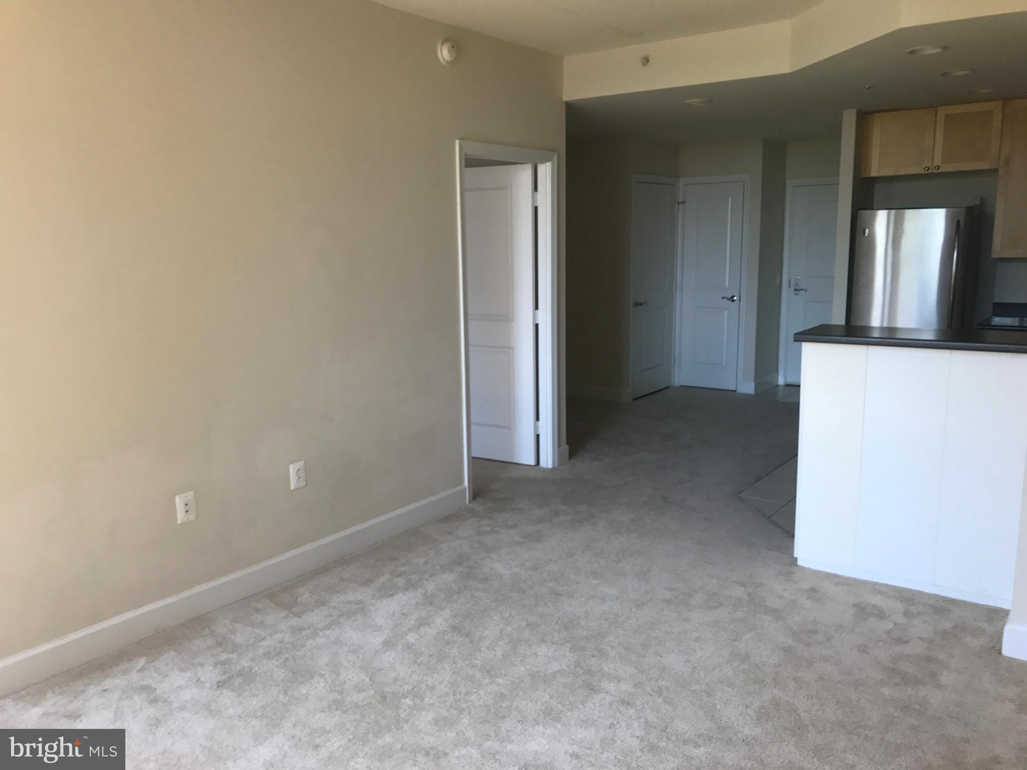 3600 South Glebe Road, Unit 330W Arlington, VA 22202 - Photo 8 of 20 an empty room with closet and wooden door