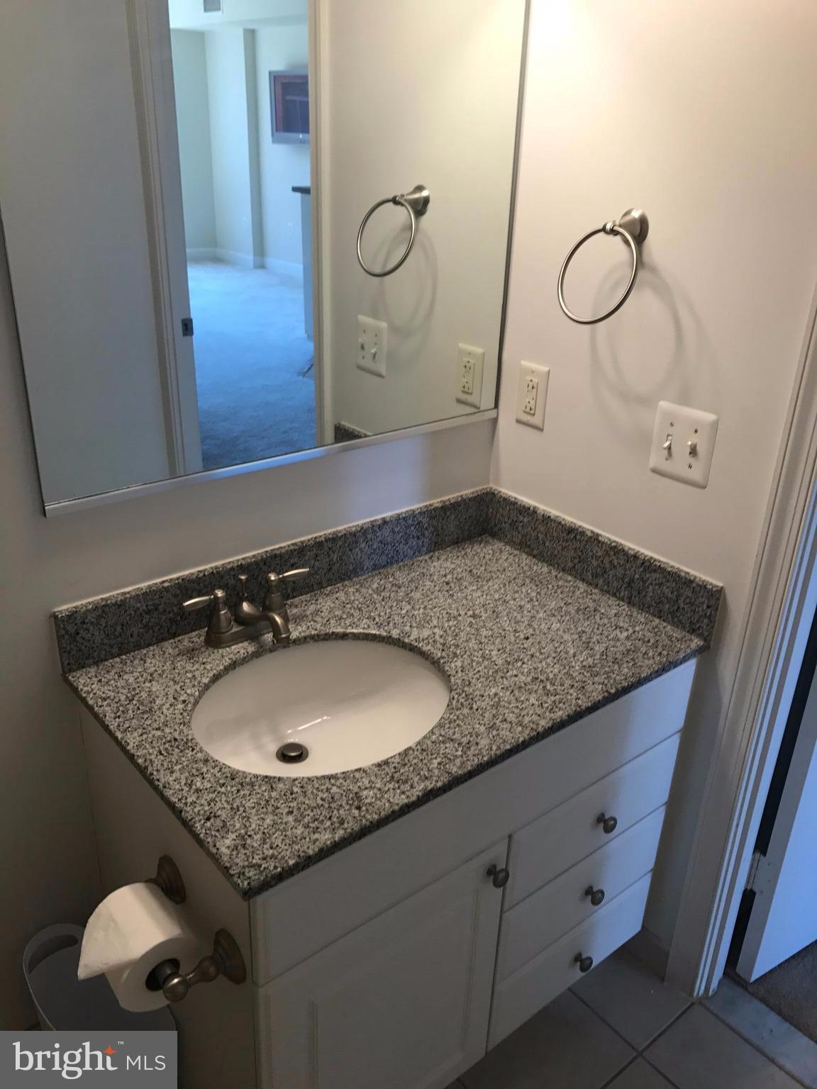 3600 South Glebe Road, Unit 330W Arlington, VA 22202 - Photo 10 of 20 a bathroom with a granite countertop sink and a mirror