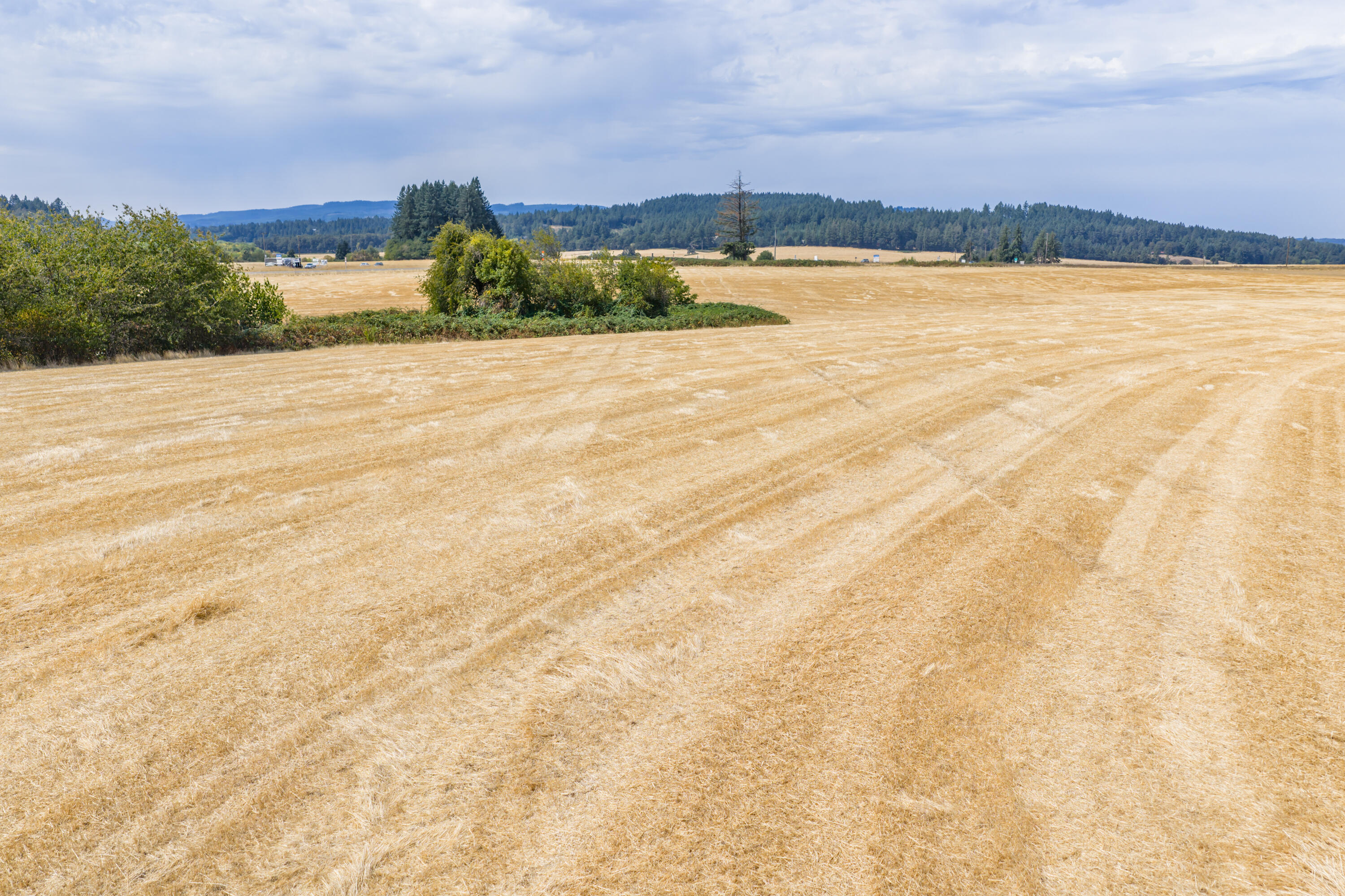 0 Coville Road Dallas, OR 97338 - Photo 10 of 15 MIT-10