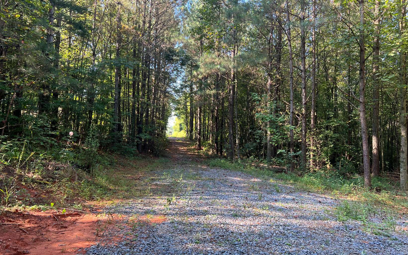 Pleasant Gap Road Ellijay, GA 30540 - Photo 5 of 7 Additional View