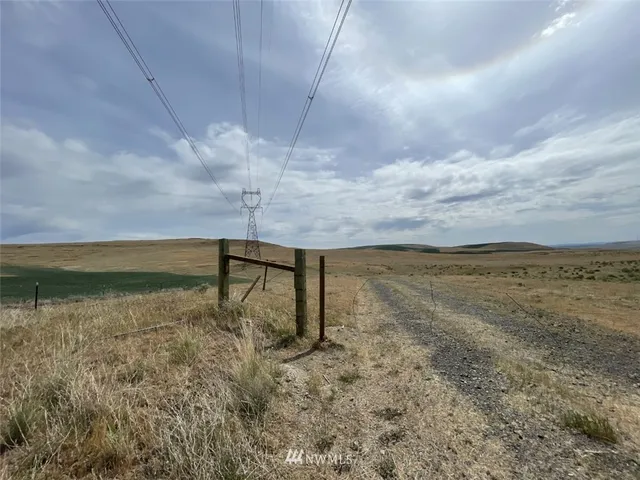 a view of a dry yard with wooden fence