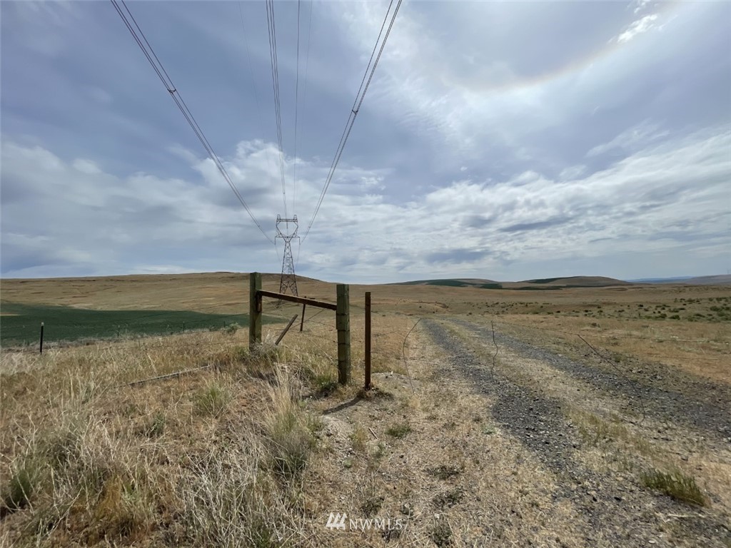 a view of a dry yard with wooden fence