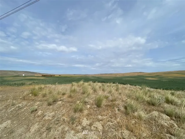 a view of lake with green space