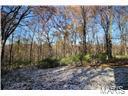 9 Finlay Road St. Louis, MO 63122 - Photo 3 of 7 Gallery Image 3