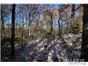 9 Finlay Road St. Louis, MO 63122 - Photo 6 of 7 Gallery Image 6