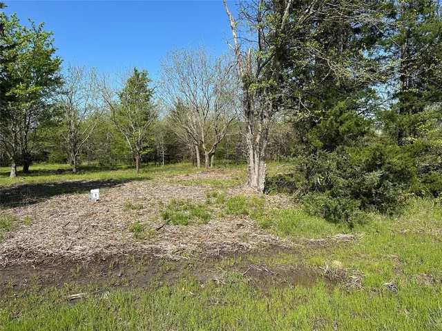 a view of outdoor space with deck and yard