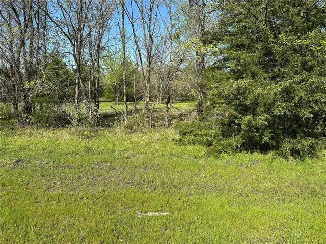 a view of yard with green space