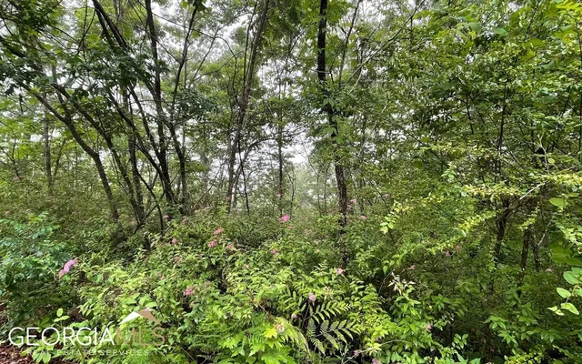 $25,900 | Lot 7 Trillium Heights, Brasstown, NC 28902