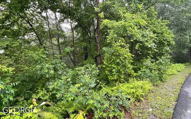 $25,900 | Lot 7 Trillium Heights, Brasstown, NC 28902