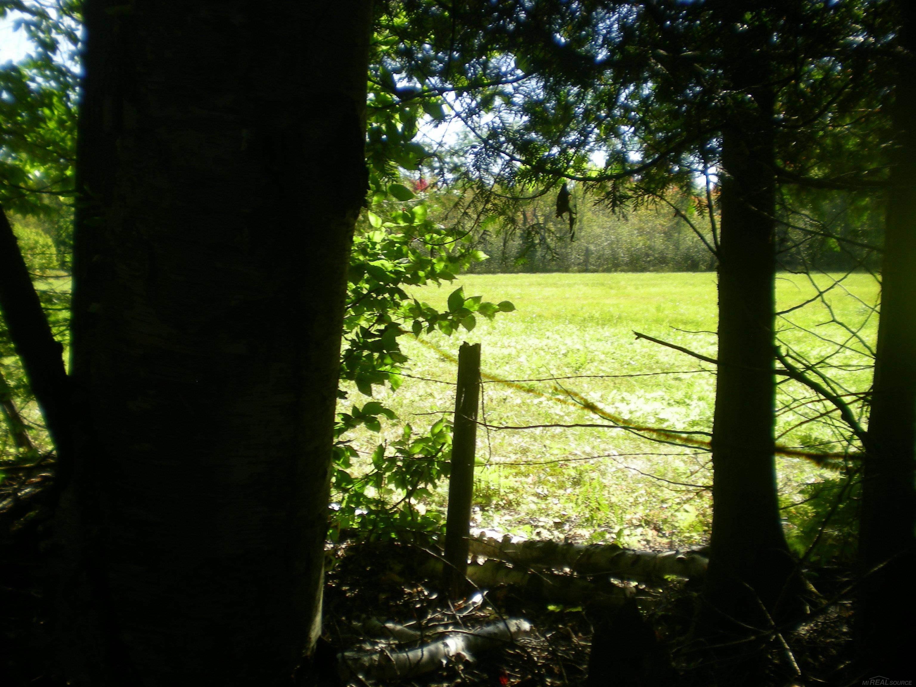 East Beedy Road Goetzville, MI 49736 - Photo 4 of 7
