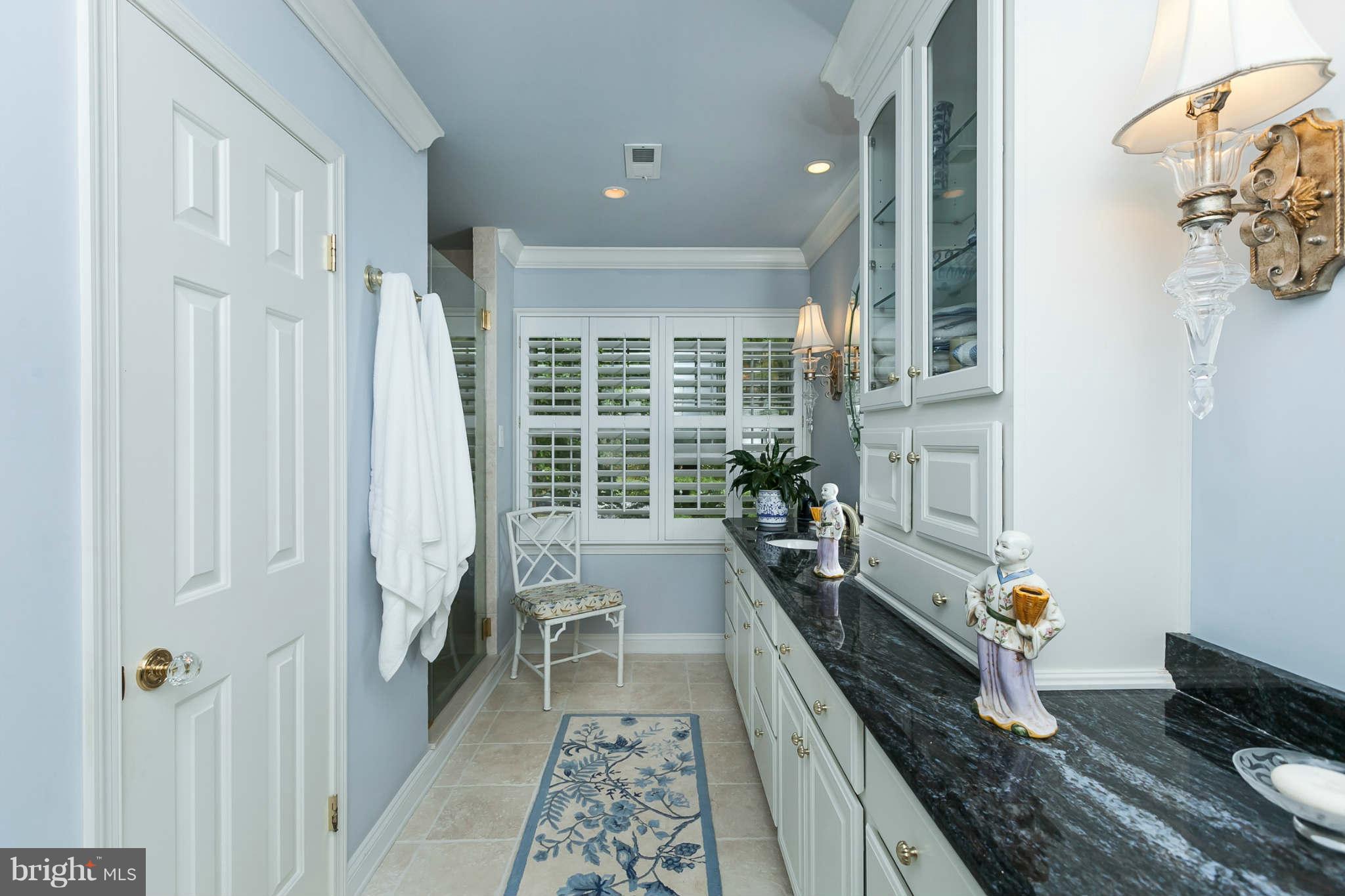 33 Raisin Tree Circle Baltimore, MD 21208 - Photo 22 of 30 Bath (Master)