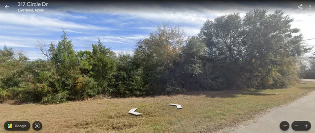 $40,000 | Tbd Circle Drive, Liverpool, TX 77577