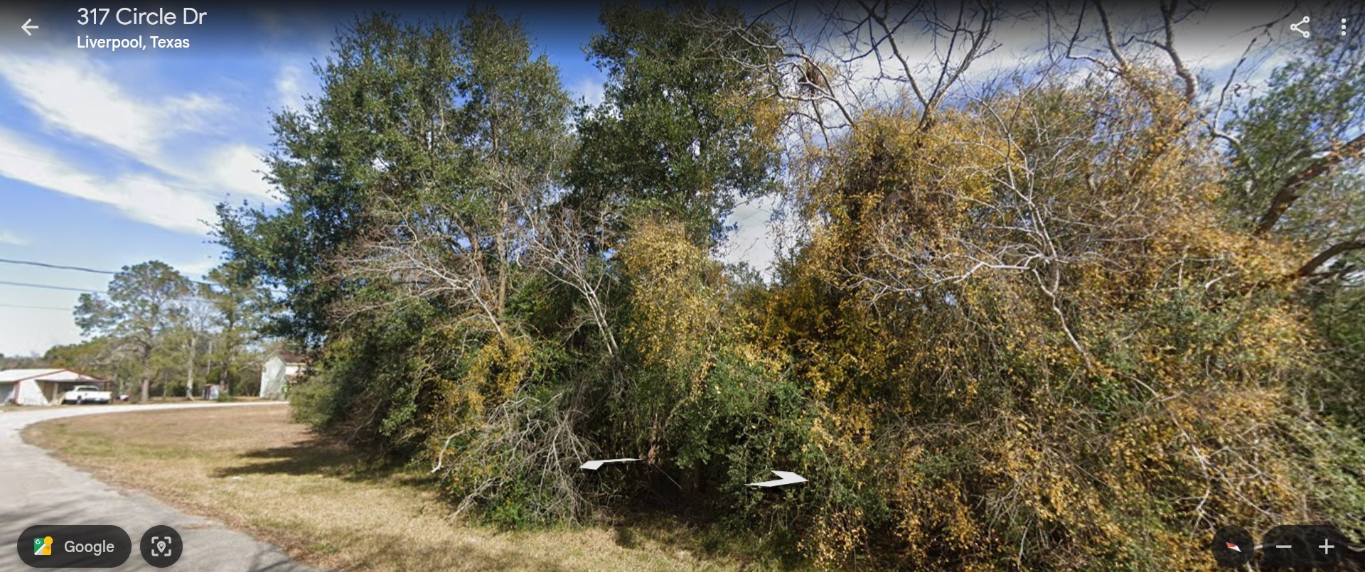 Tbd Circle Drive Liverpool, TX 77577 - Photo 2 of 7